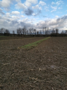 Messer Verloren Attersee