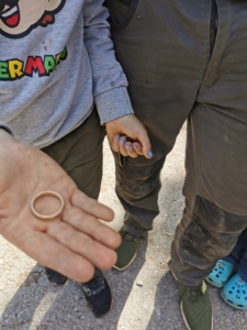 Ring im Garten verloren