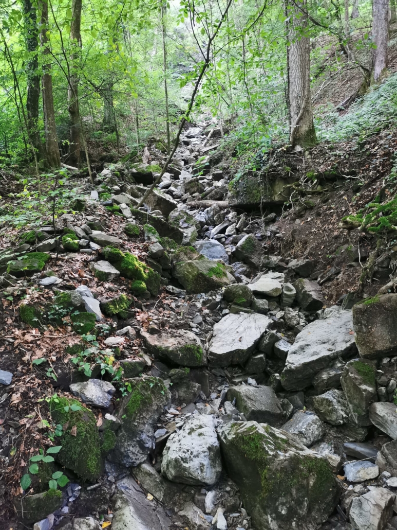 Ehering im Bach verloren